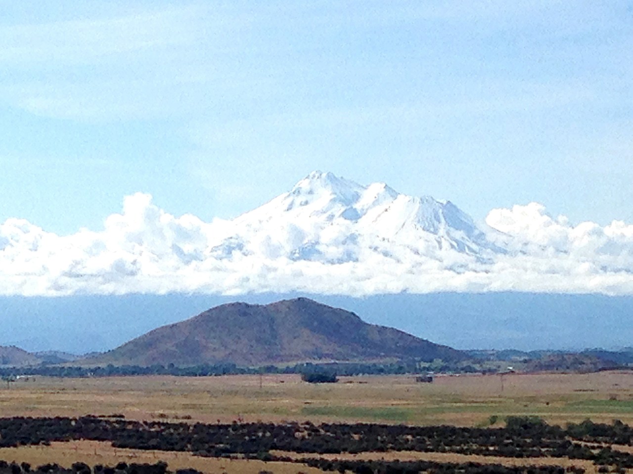 Mt. Shasta 2015