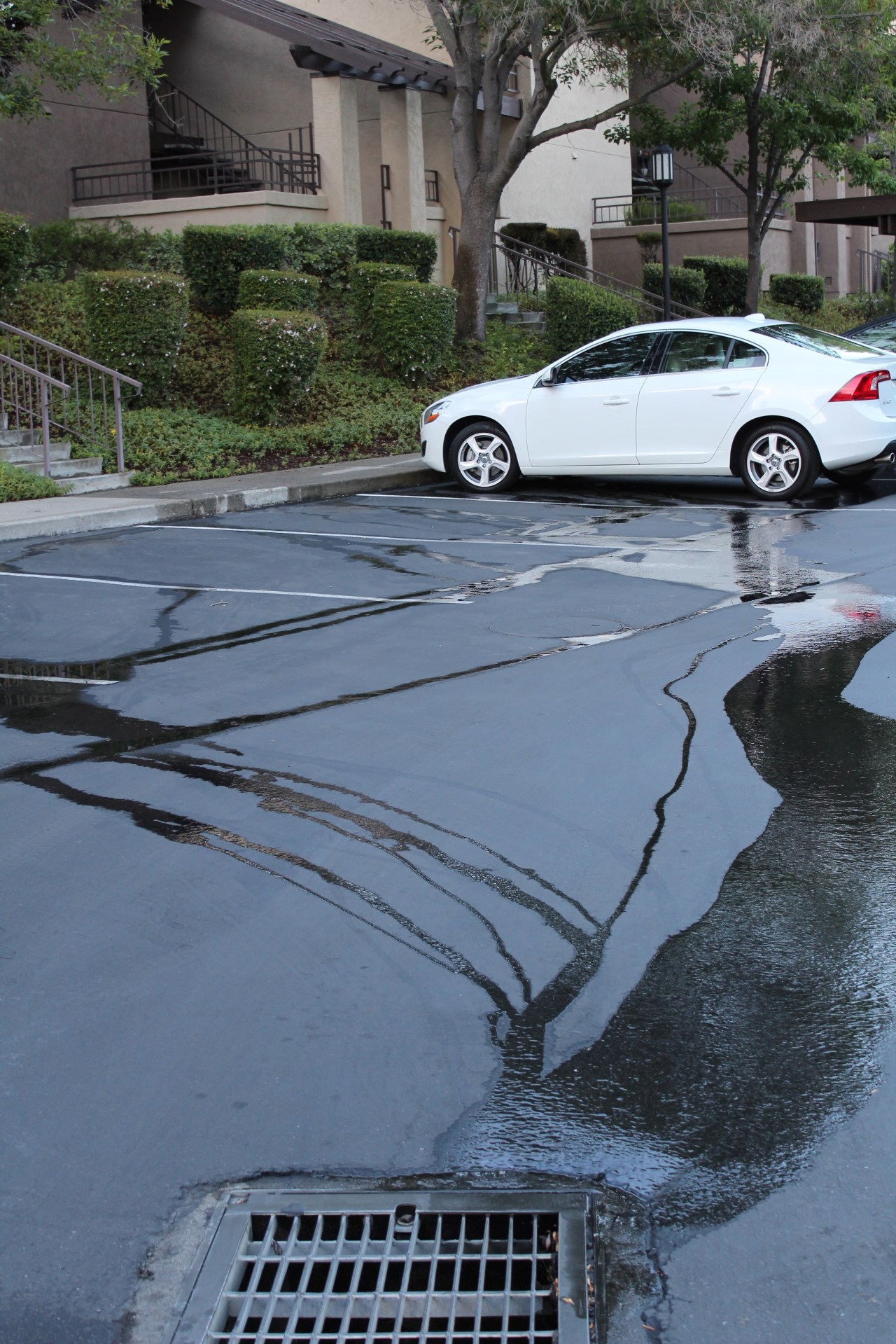 Water Down the Drain