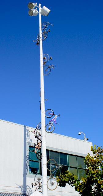 many-bikes-on-pole-1