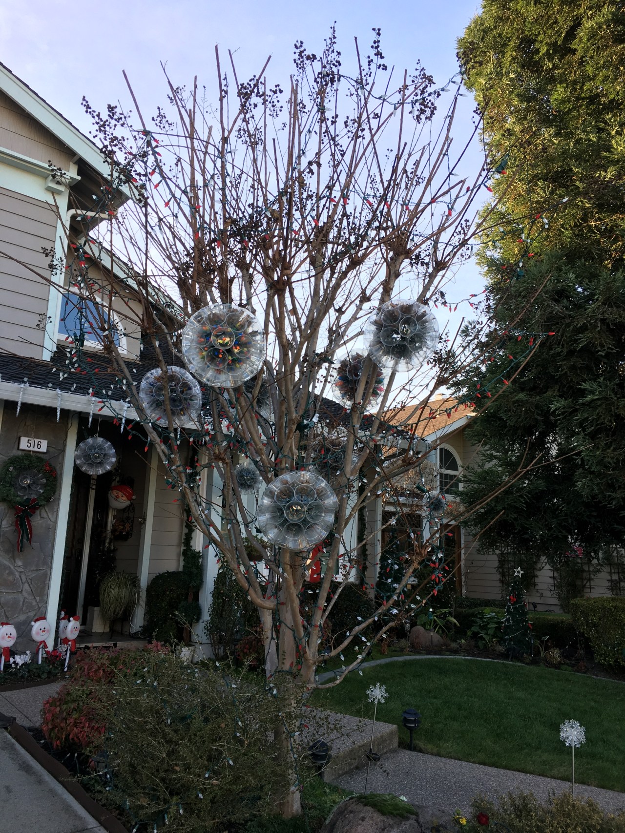 tree-lights-on-break