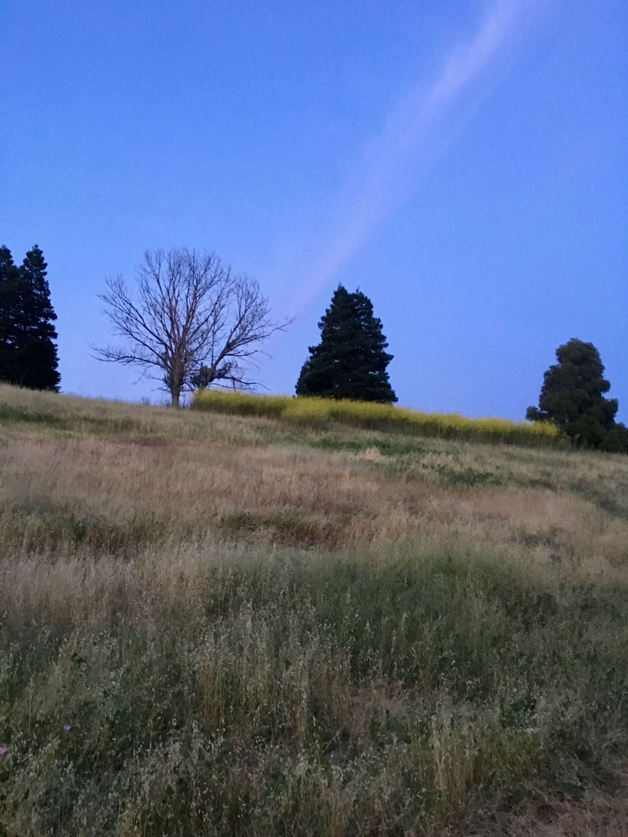 Hill at dusk