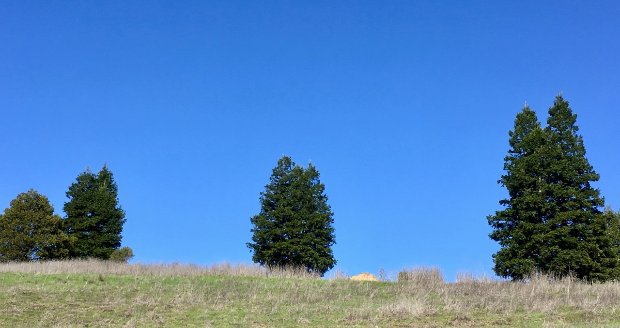 Mourning and Celebration