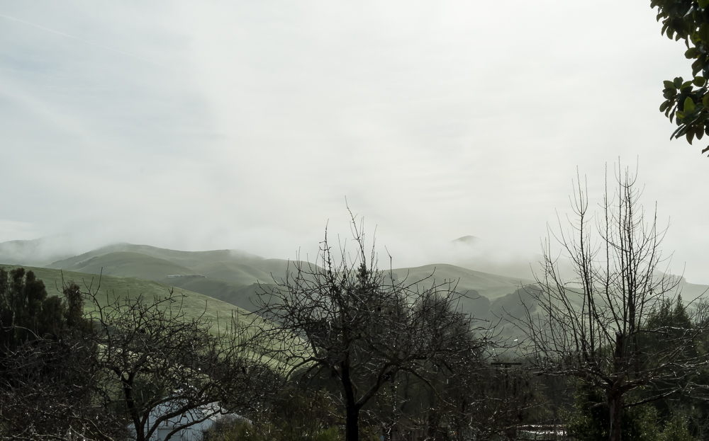 Fog Lifting MAC-0710-2