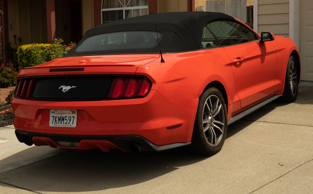 Wild thing, you make my heart&nbsp;sing…