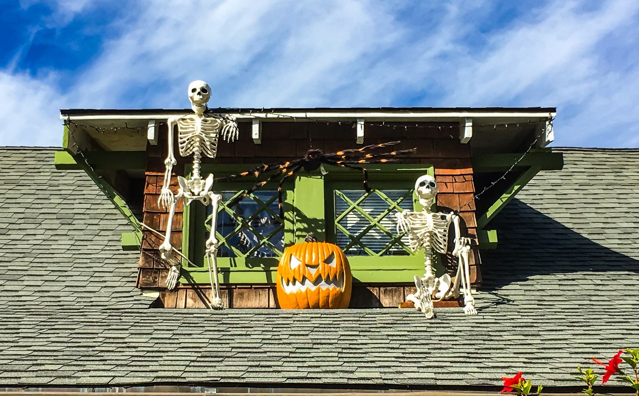 WW-Halloween - Berkeley-5460