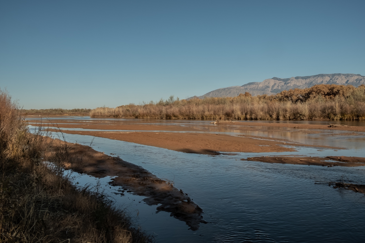 Afternoon along the Rio Grande-2810