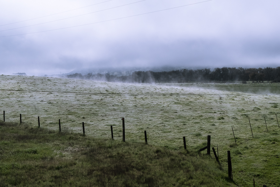 Morning along the Salinas-3994