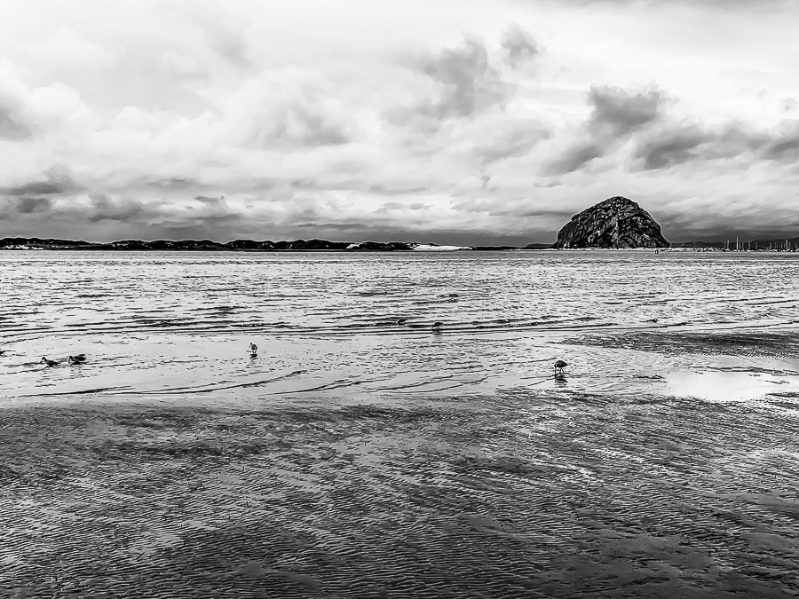 Morro Bay-6457