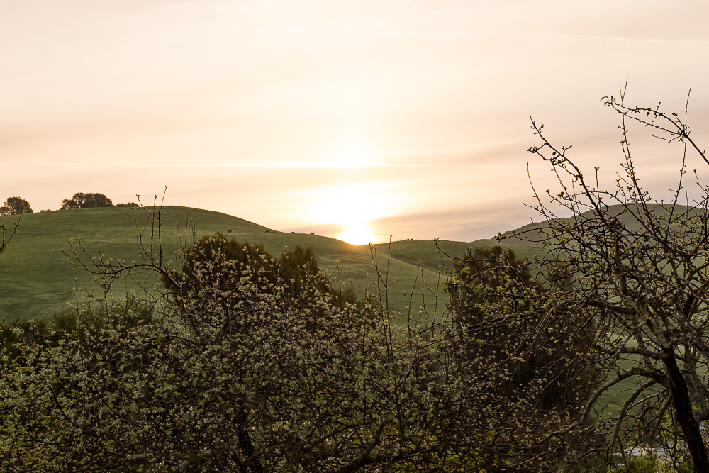Morning stillness MA Center – Crow&nbsp;Canyon