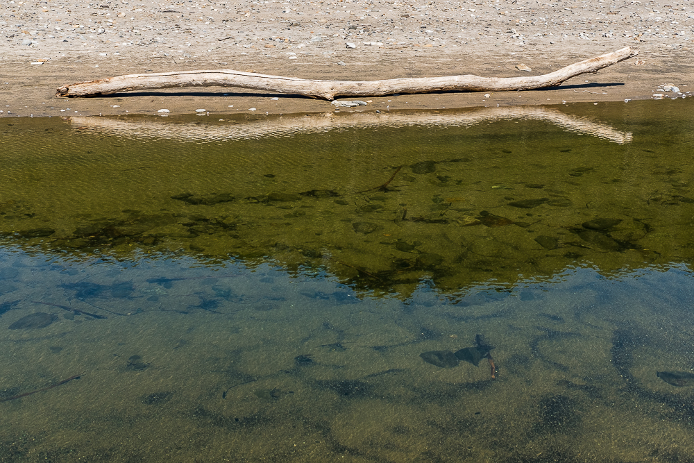 Beaches Hwy 1 - Mother's Day-4406