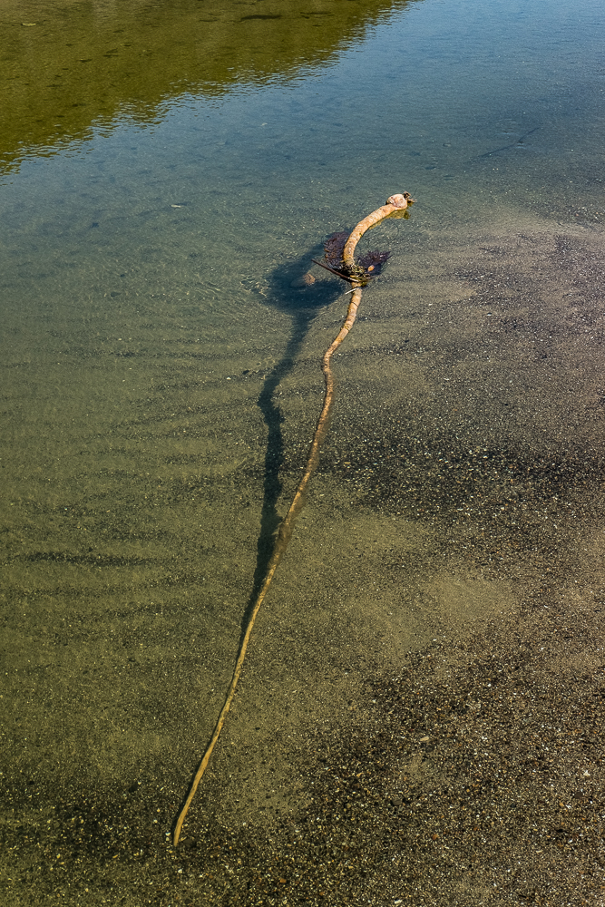 Beaches Hwy 1 - Mother's Day-4414