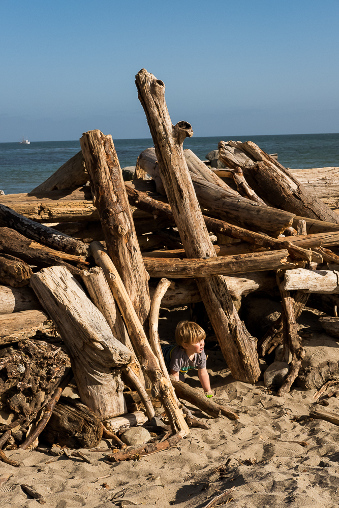 Driftwood fort… child’s&nbsp;delight