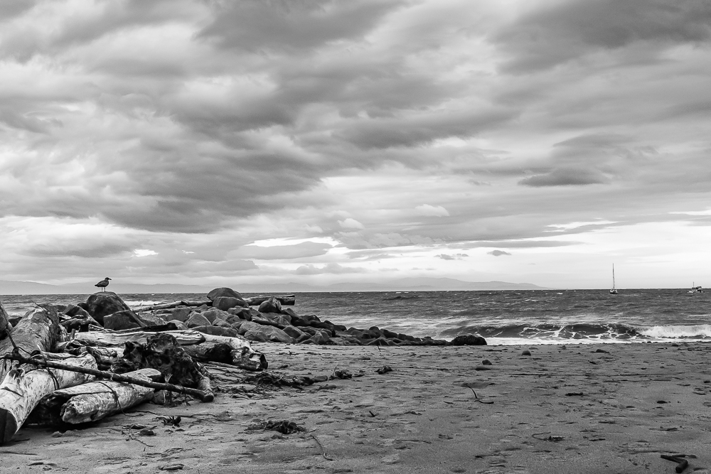 Capitola - Spring Storm-4620