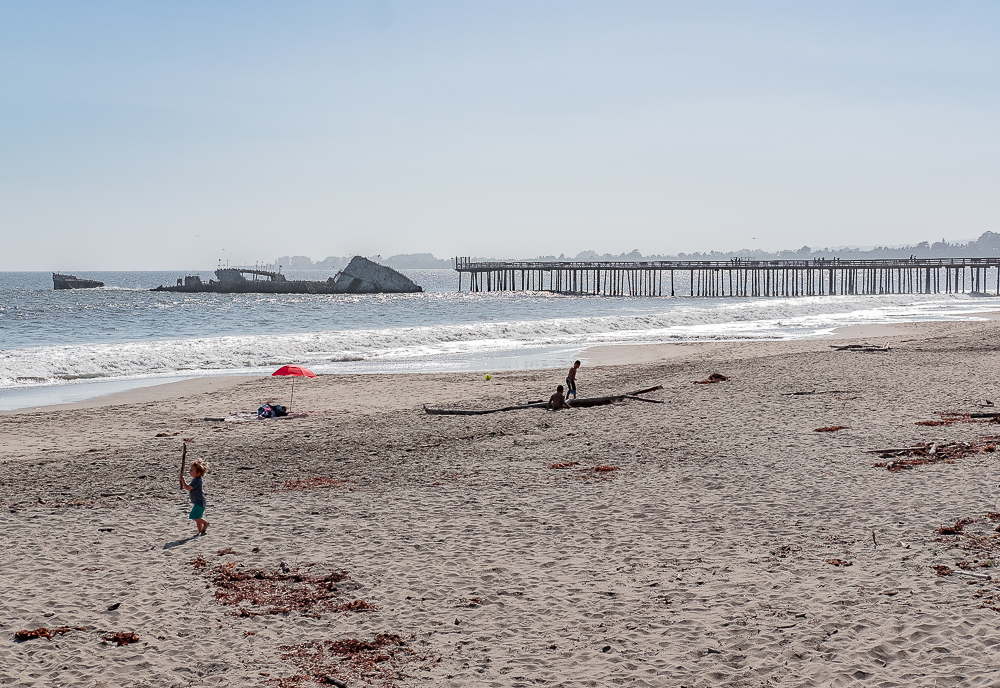 Seacliff Beach-4876
