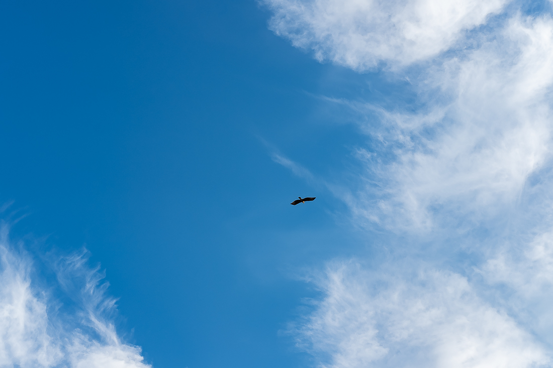 Early morning fly&nbsp;by