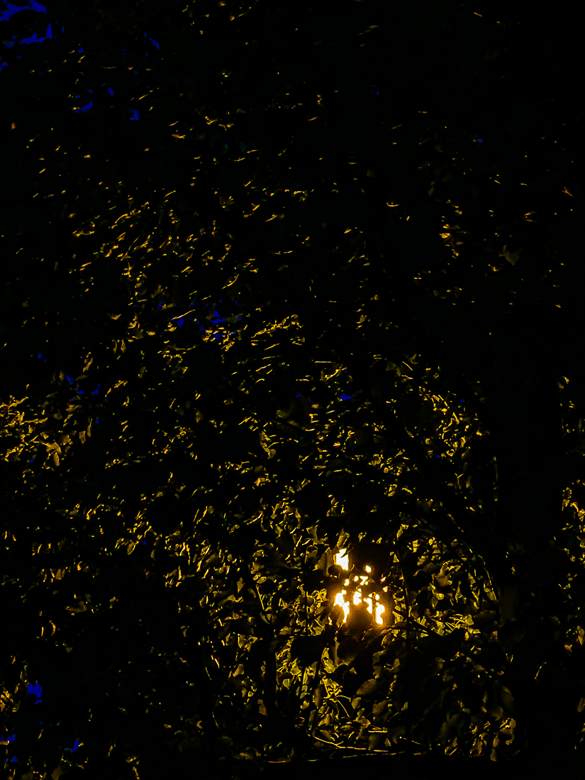 Neighborhood lantern