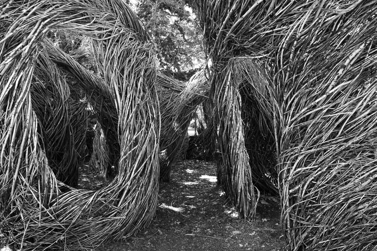 Monochrome Mondays – ‘Sure&nbsp;Enough’