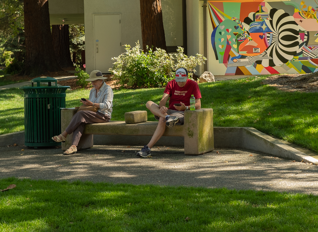 Saturday in the Park - Civic Park WC-5004