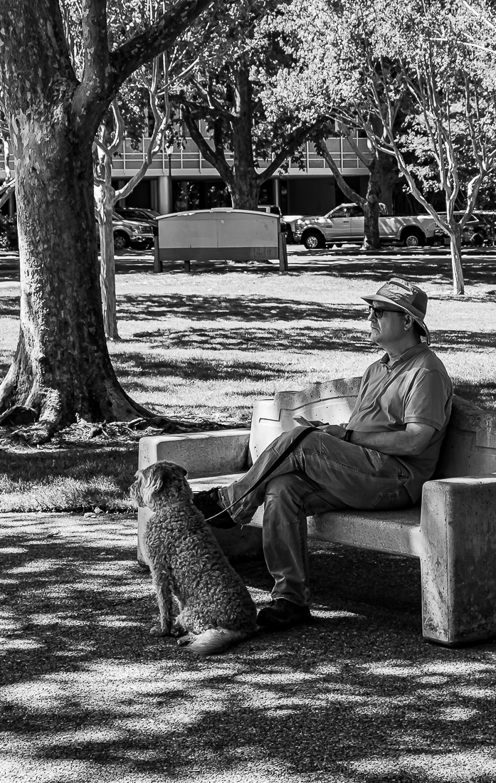 Saturday in the Park - Civic Park WC-5010