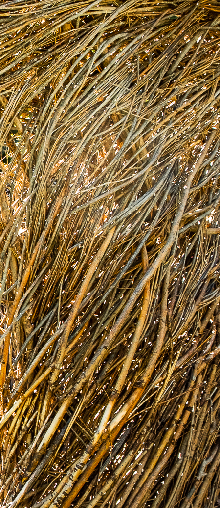 Environmental Art - Civic Park, Walnut Creek - Close up-5016