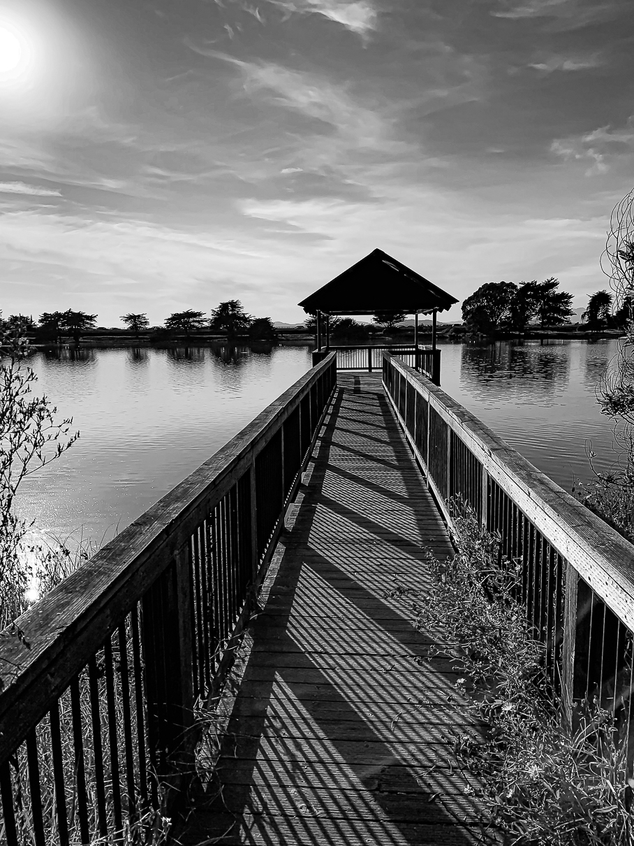 Monochrome Mondays - Berkeley-7470