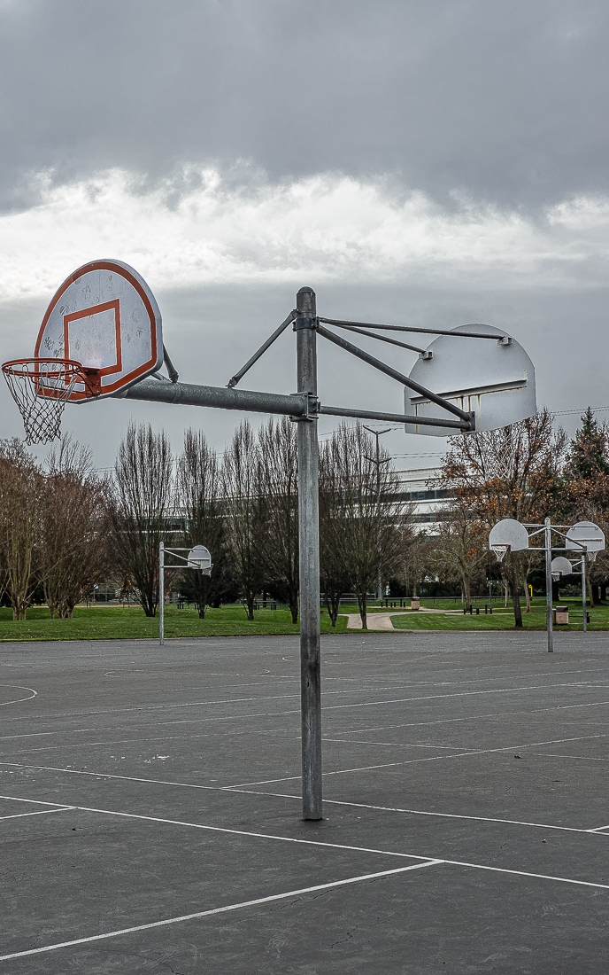 Hoops and leaf-5885
