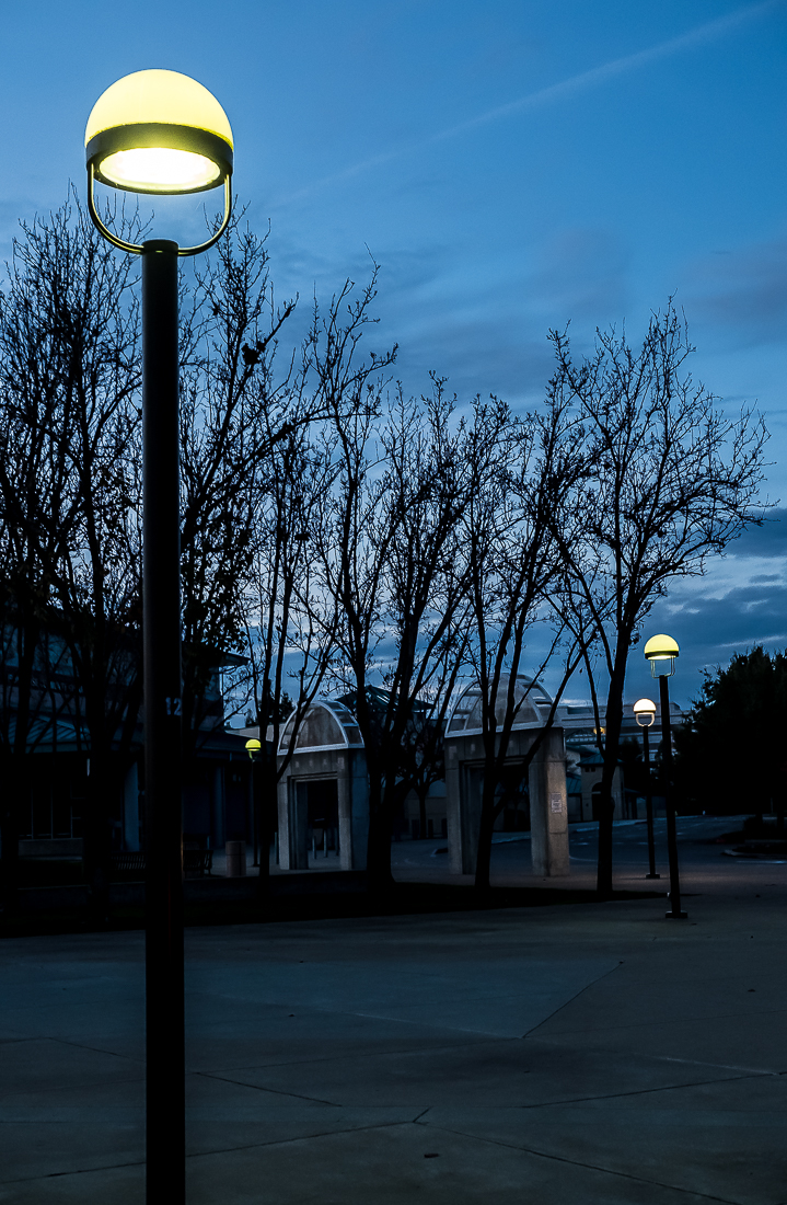 Night Life - Street Lamps-5848