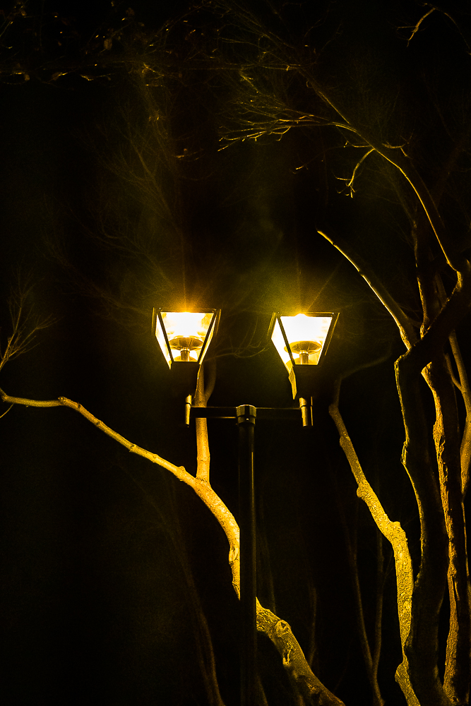 Street lamp-Winter Solstice 2019-5784-2