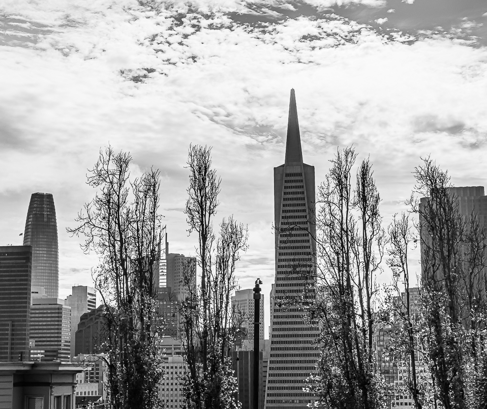 January 1, 2020, downtown San&nbsp;Francisco