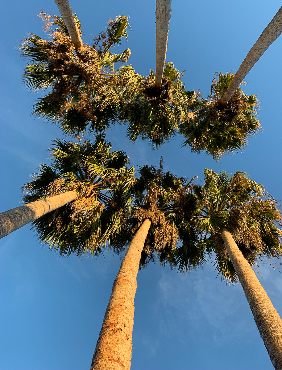 Lens-Artists 87- Reflections-8504