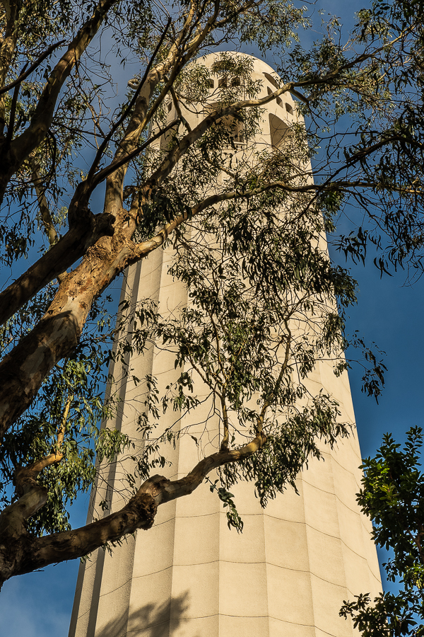 Lens-Artists #86: Change Your&nbsp;Perspective