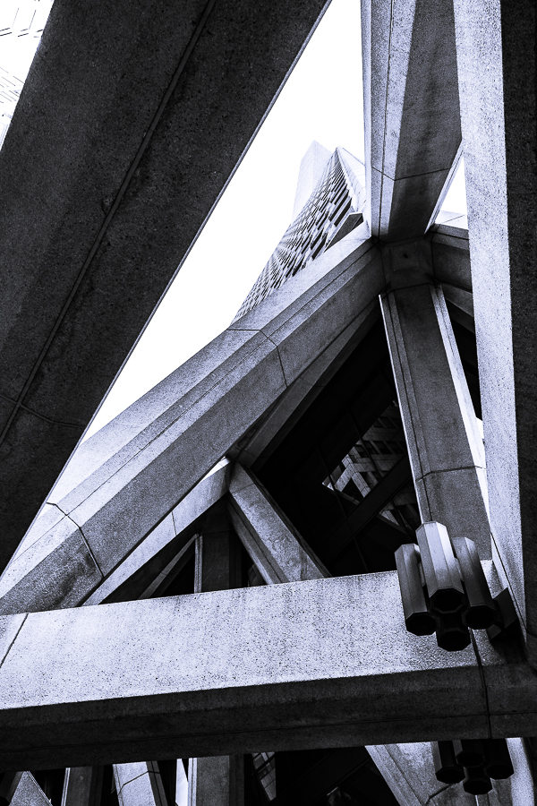 Lens-Artists - Perspective-6165