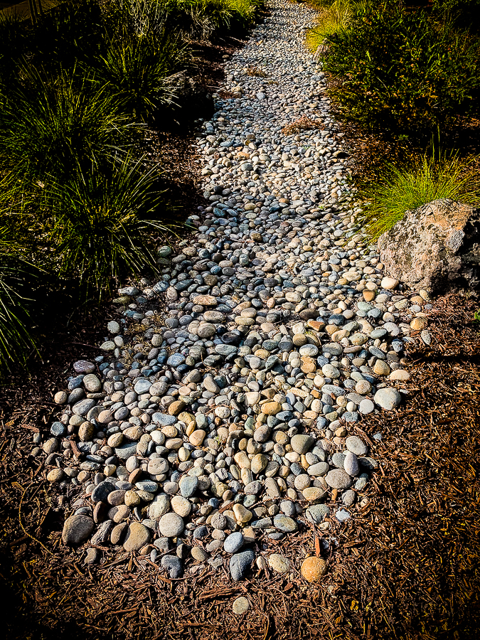Lens-Artists - Perspective-8487