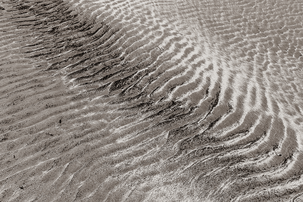 Mid-Week Monochrome –&nbsp;27