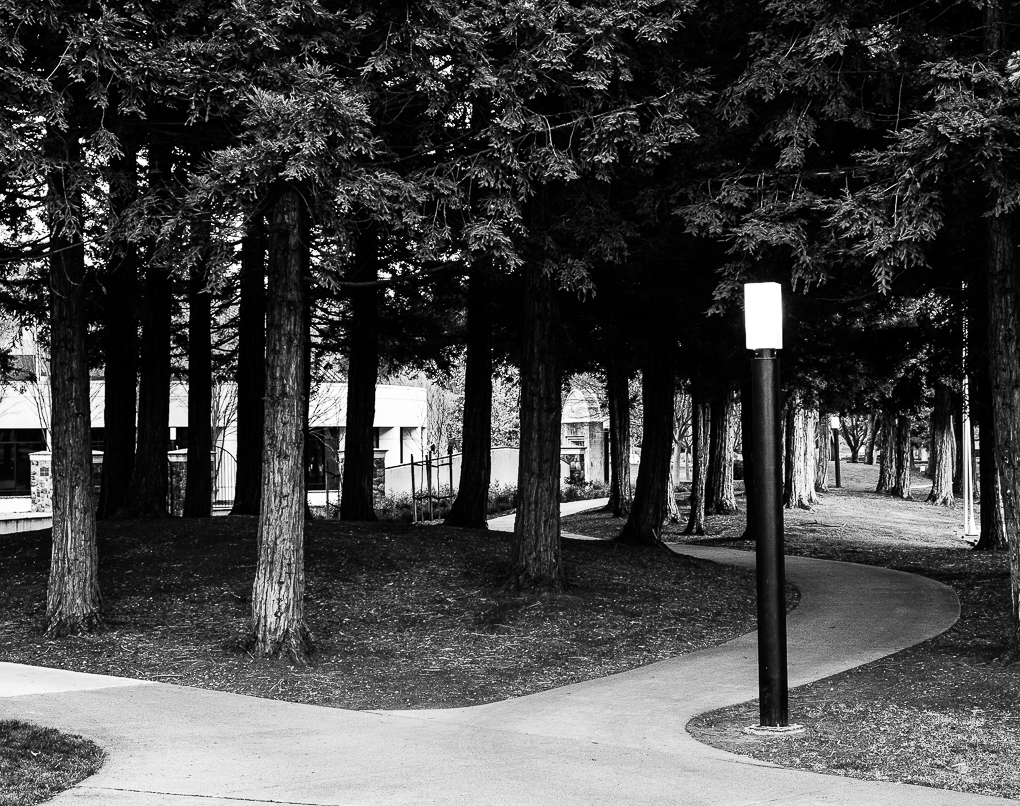 WW-Paths w Street lamps - Comm. Center-0330