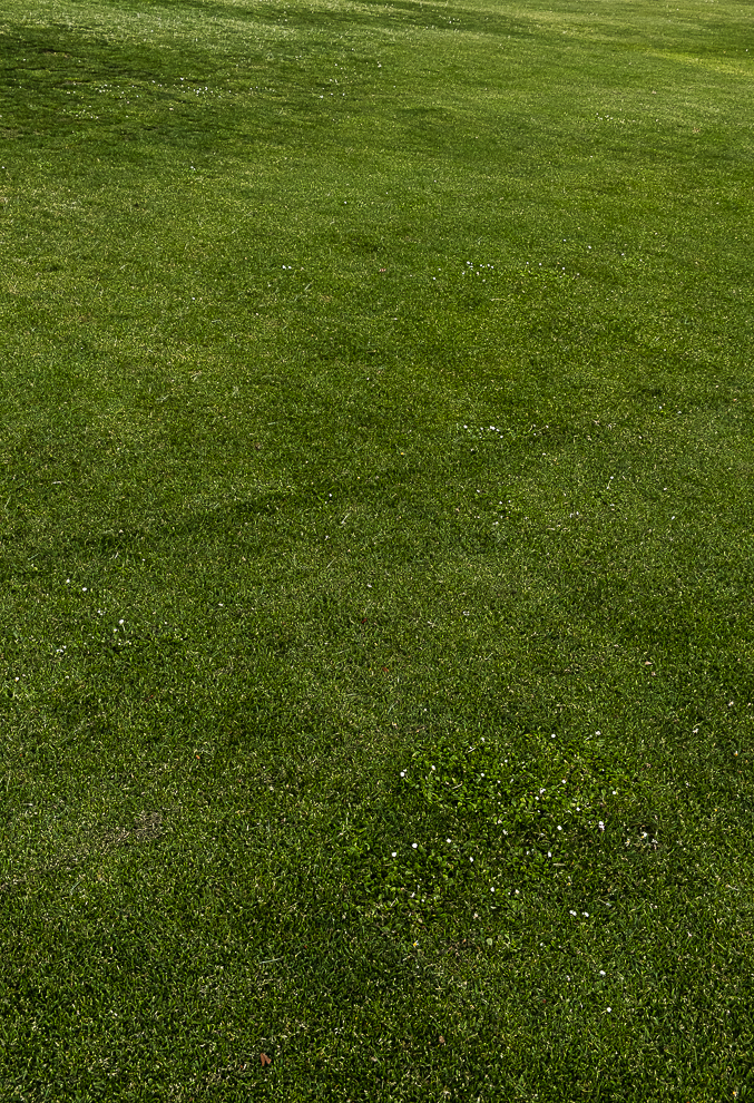 A golf course tansformed-0421