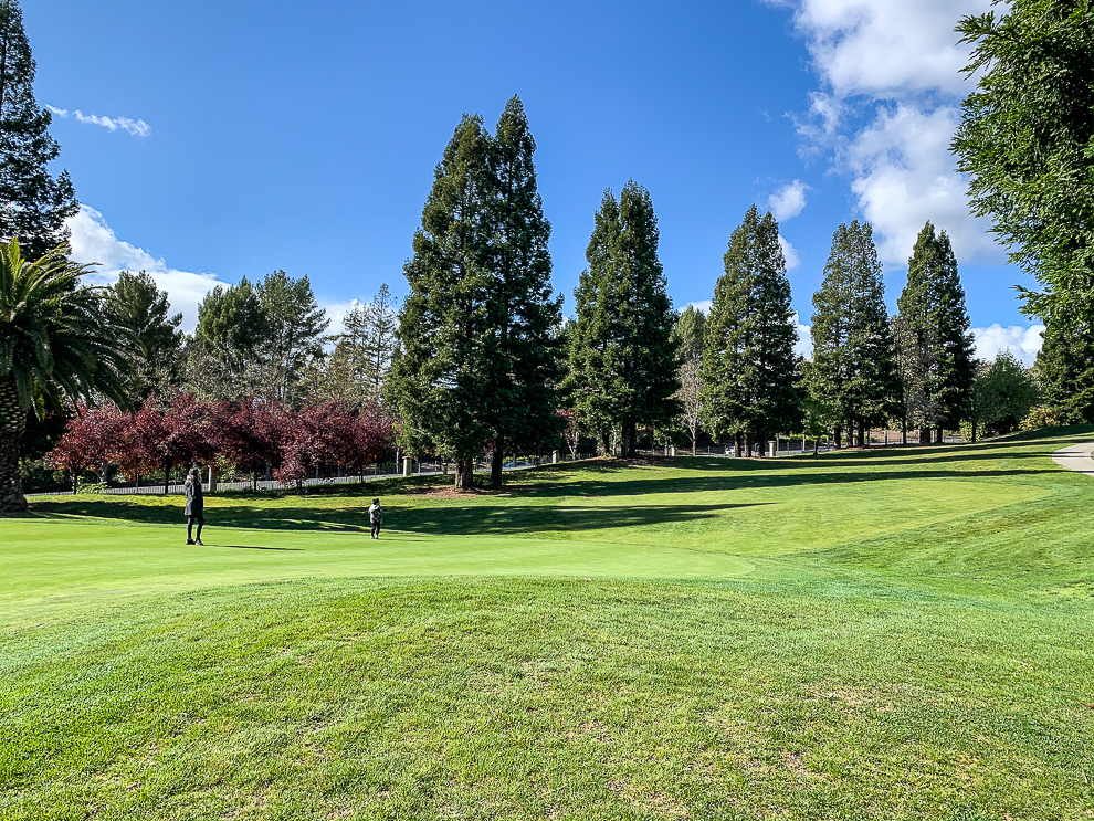 A golf course transformed by COVID&nbsp;19