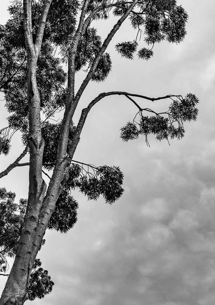 Monochrome Mondays: Reaching