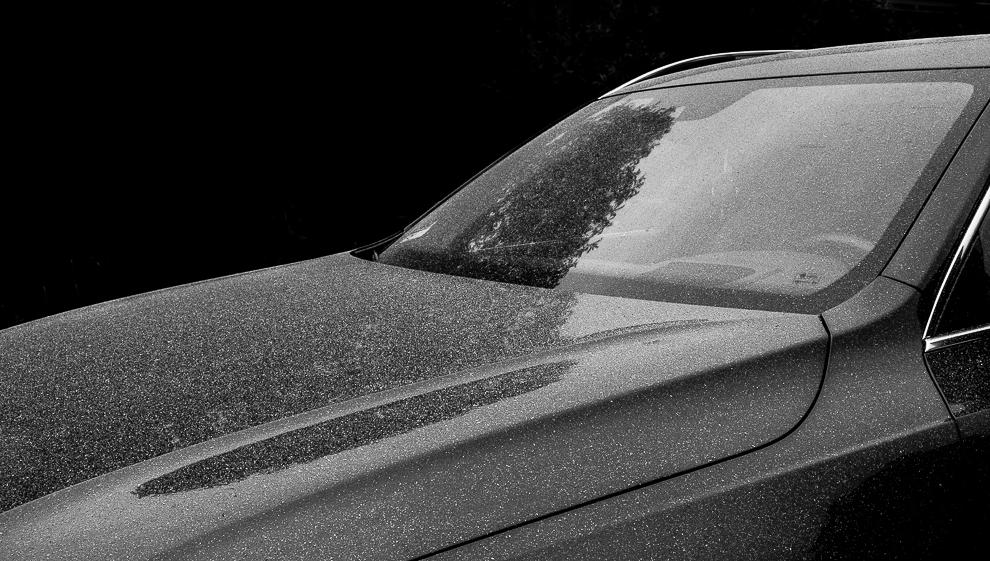 Monochrome Mondays: Ash, everywhere&nbsp;ash