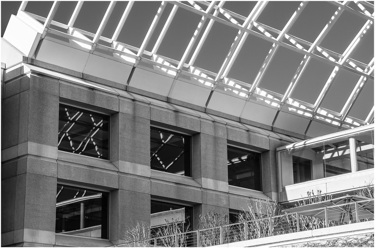 Monochrome Mondays: Bishop&nbsp;Ranch