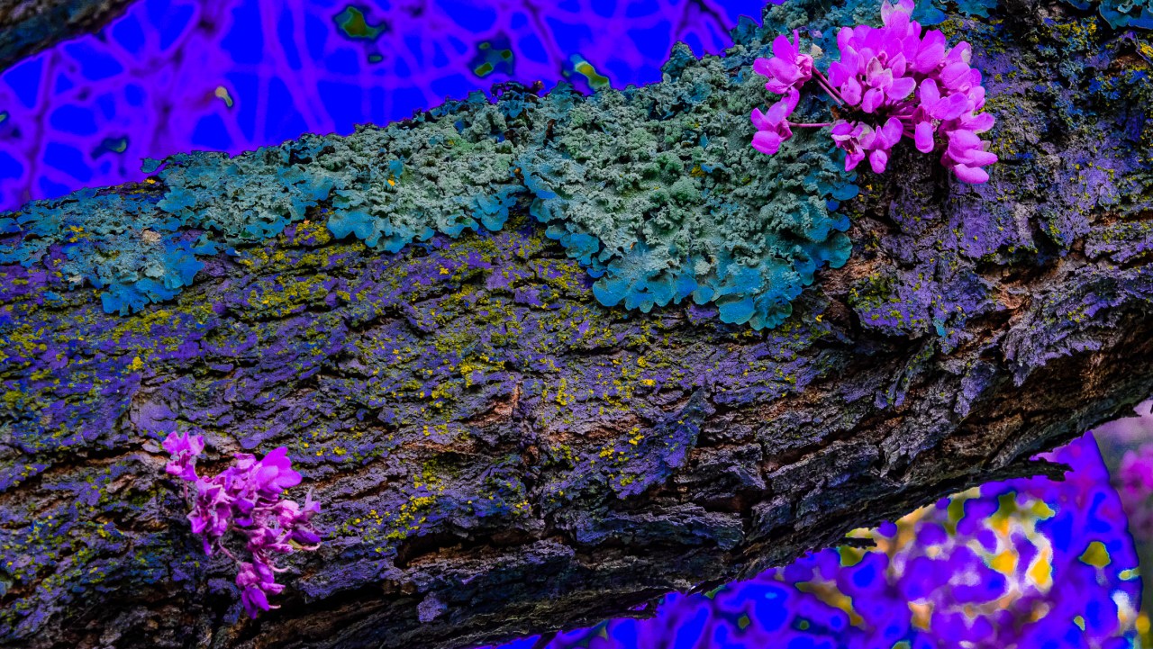 Lens-Artists Photo Challenge – Colorful&nbsp;April