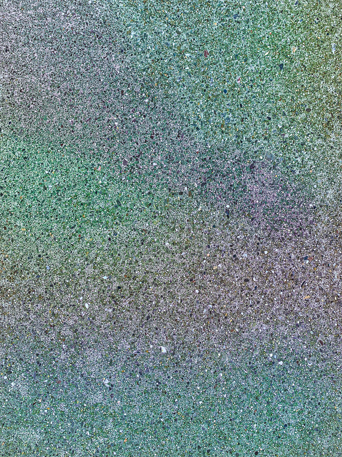 Lens-Artists Photo Challenge #148 – spots and&nbsp;dots