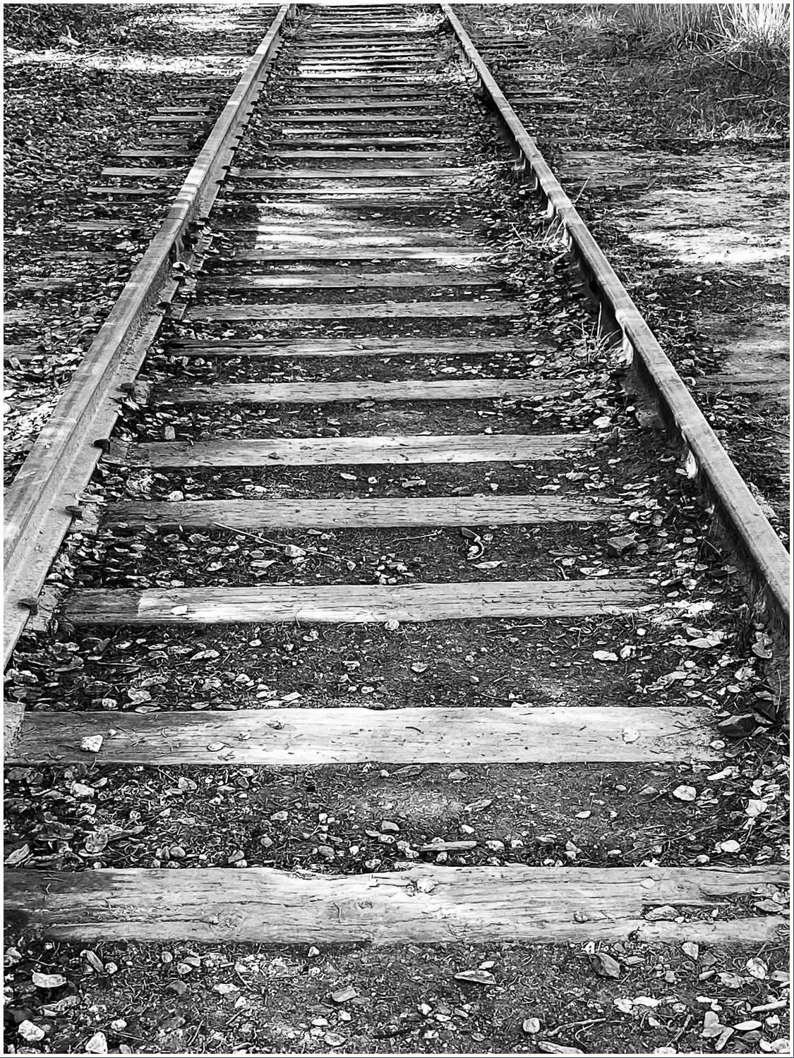 Monochrome Mondays: Quietude