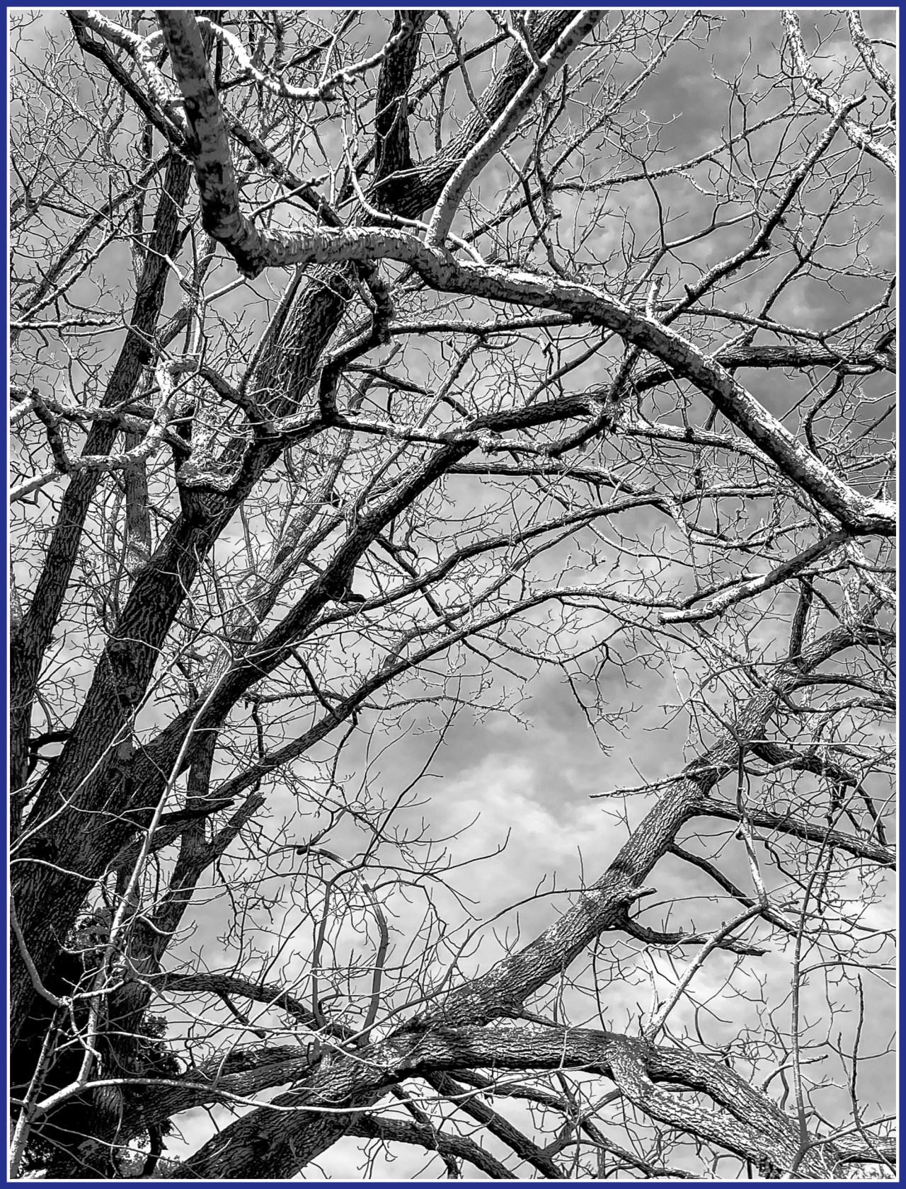 Monochrome Mondays: In the presence of&nbsp;ancestors