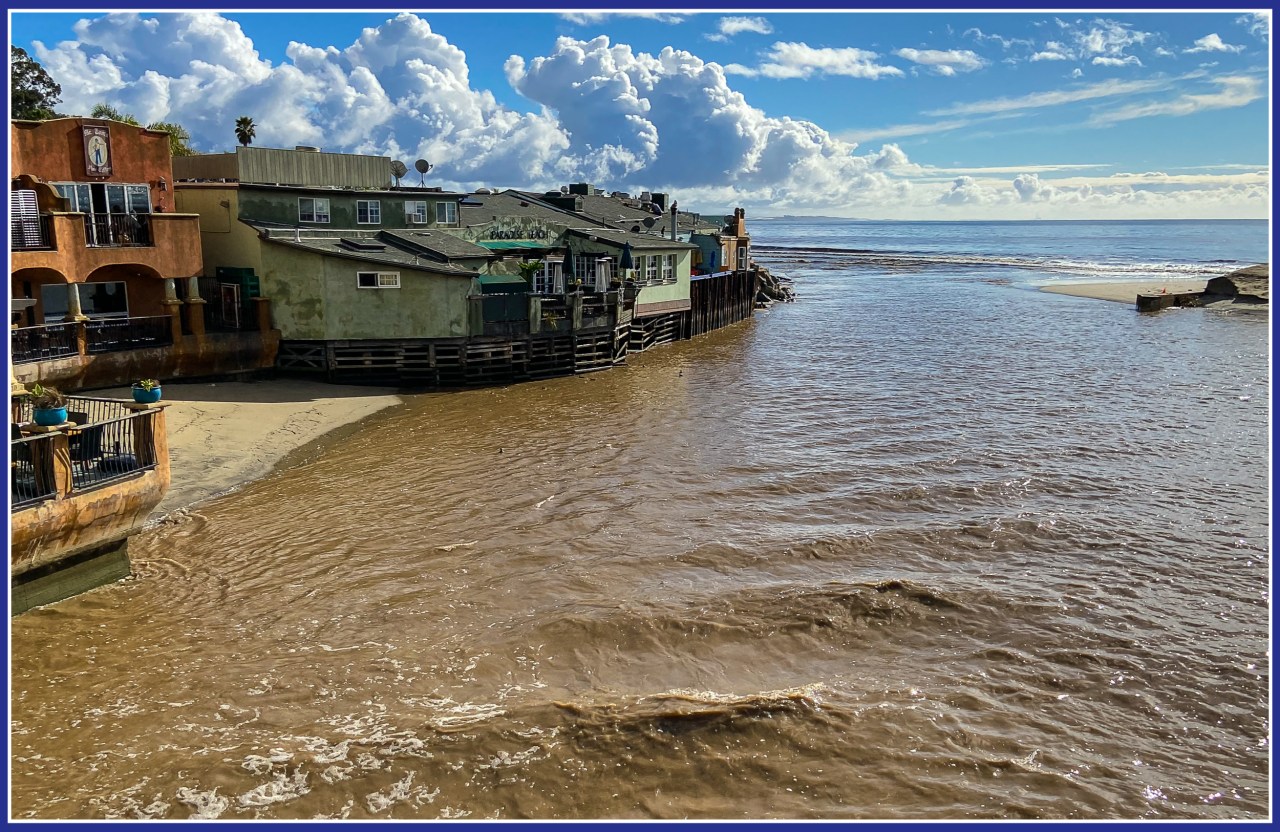 Soquel Creek unleashed