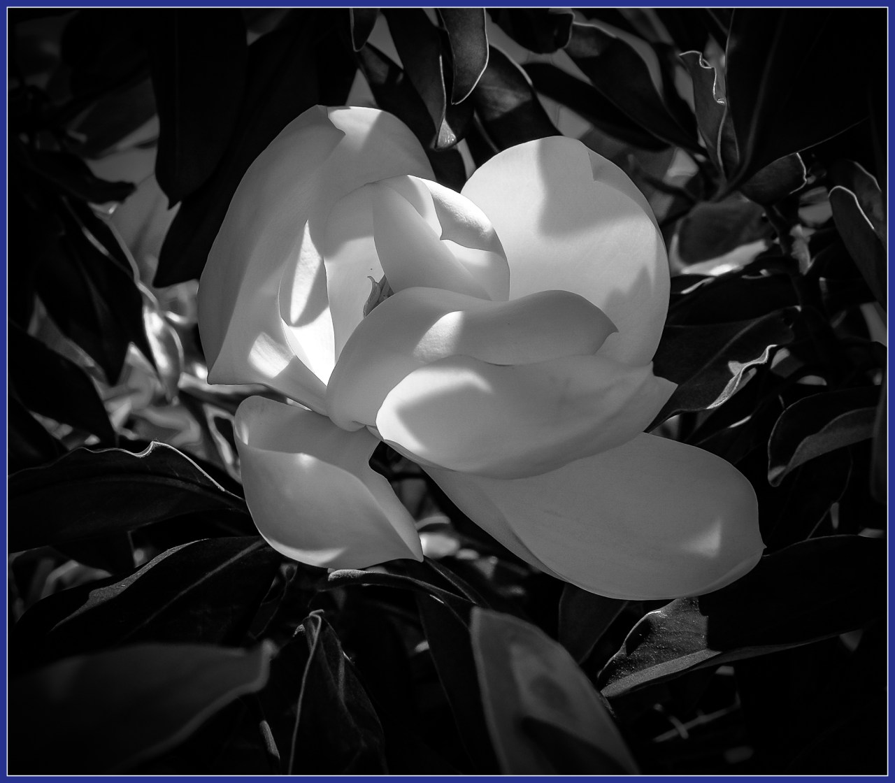 Monochrome Mondays: Coming back to&nbsp;center