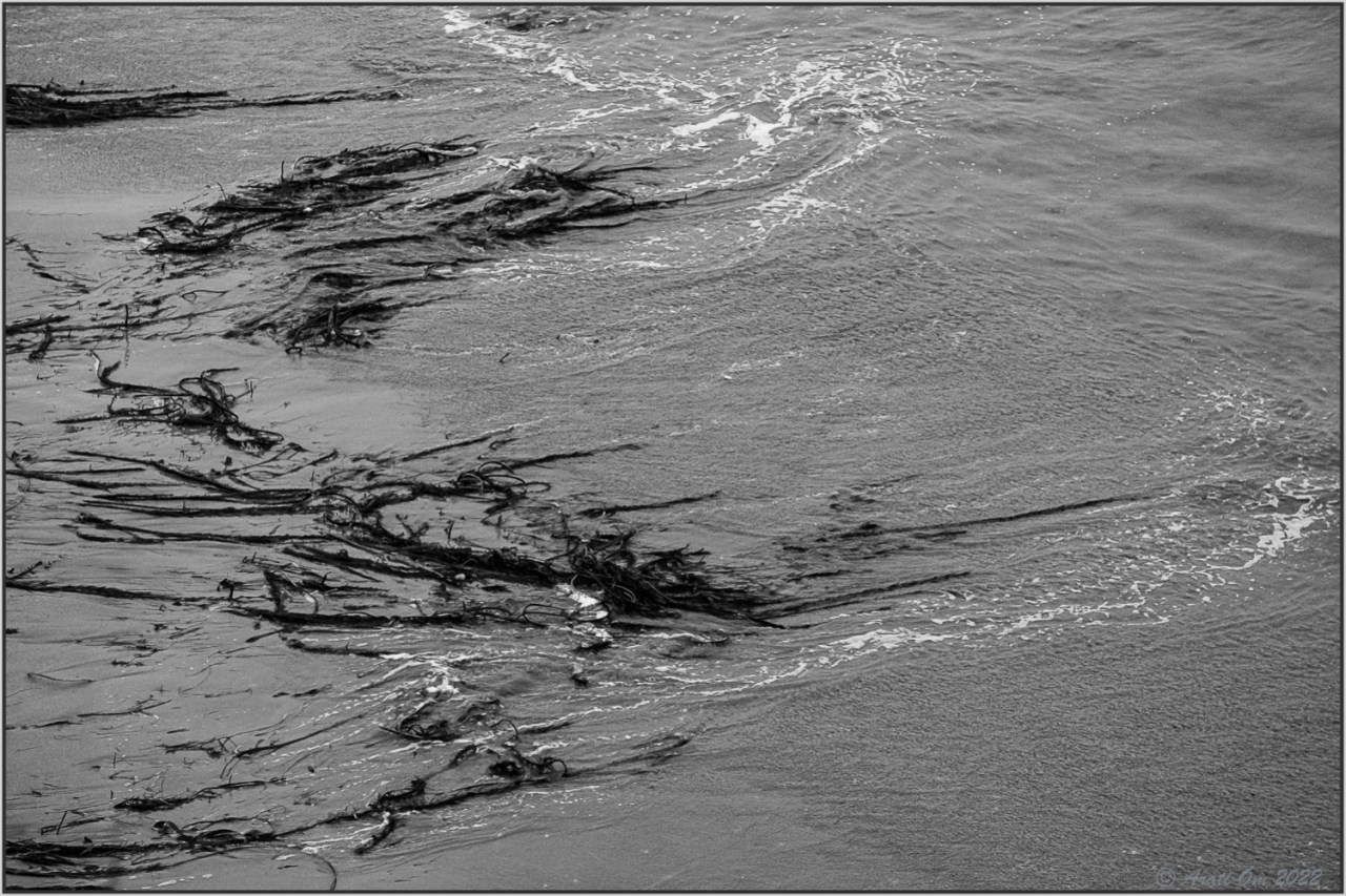 Monochrome Mondays: Ebb and&nbsp;flow