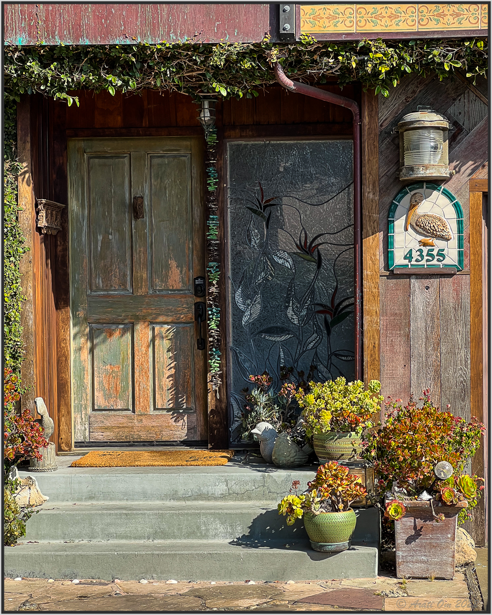 Thursday doors: with&nbsp;pelican