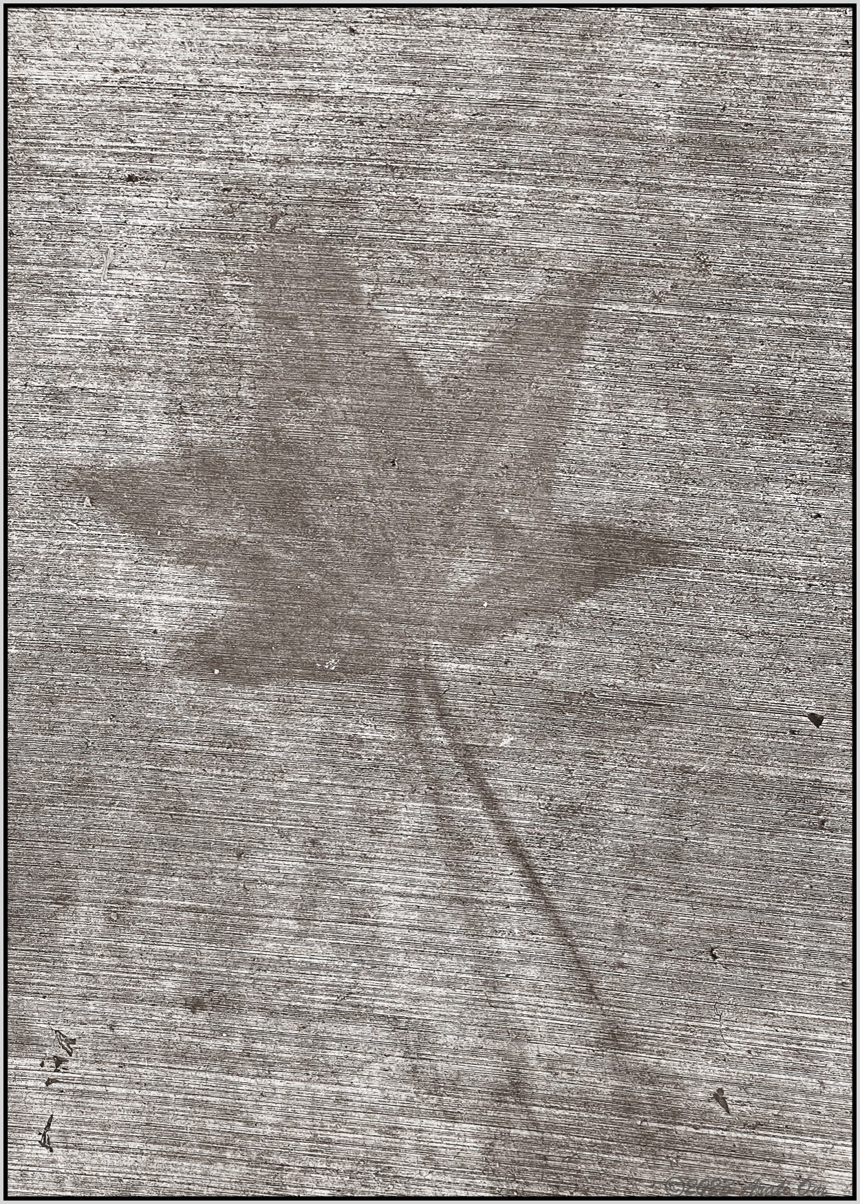 Monochrome Mondays: Ghost