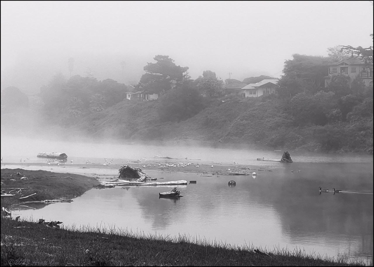 Monochrome Mondays: Then the ducks show&nbsp;up